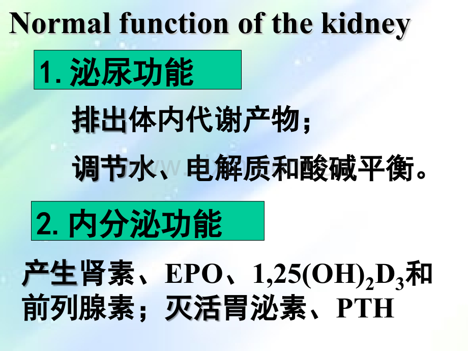 renal肾功能不全.ppt_第1页