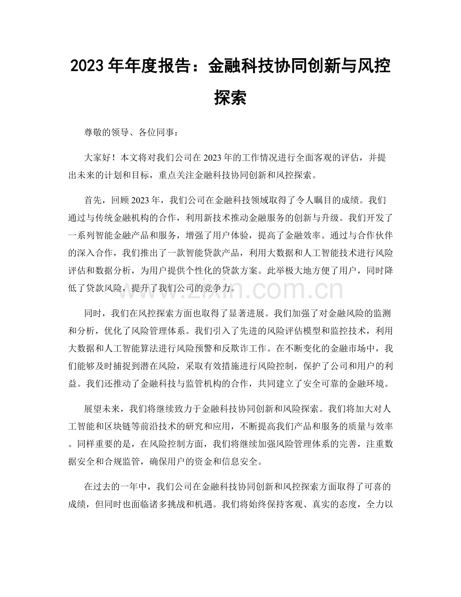 2023年年度报告：金融科技协同创新与风控探索.docx_第1页