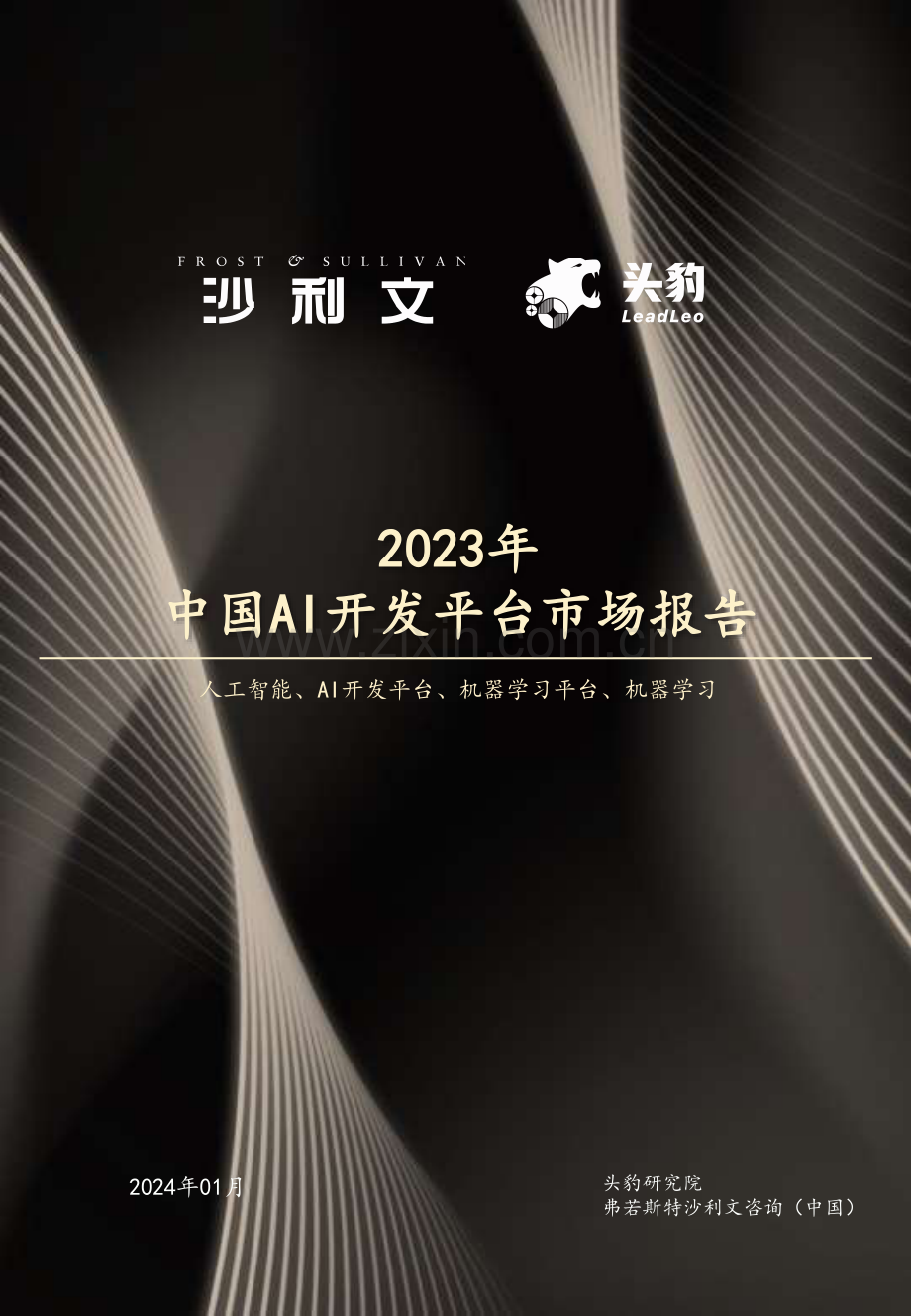2023年中国AI开发平台市场报告 -人工智能、AI开发平台、机器学习平台、机器学习.pdf_第1页