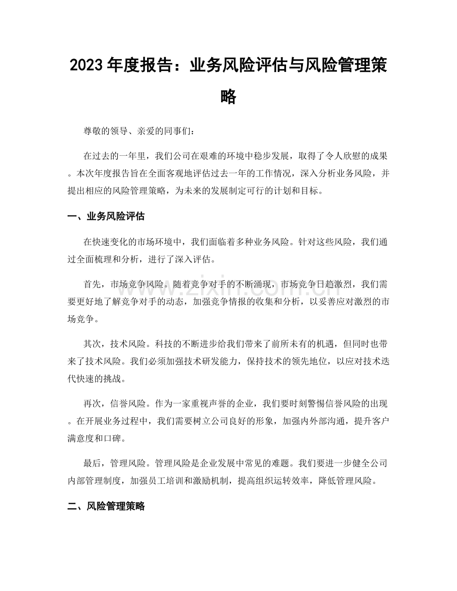 2023年度报告：业务风险评估与风险管理策略.docx_第1页