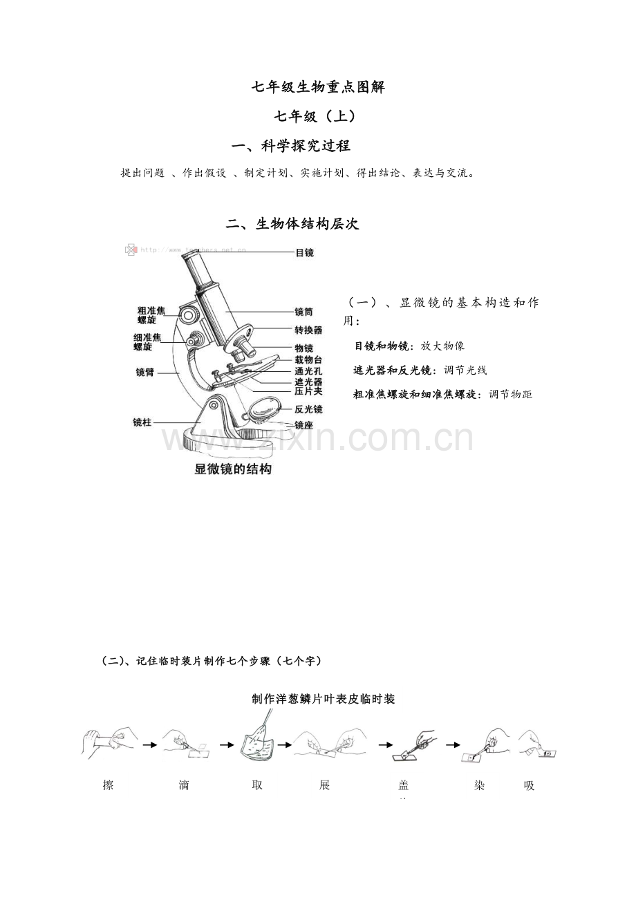 七年级生物重点图解.doc_第1页