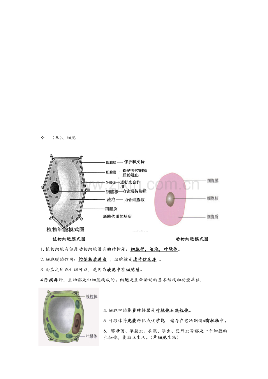 七年级生物重点图解.doc_第2页