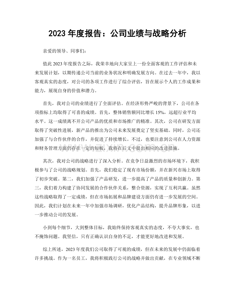 2023年度报告：公司业绩与战略分析.docx_第1页