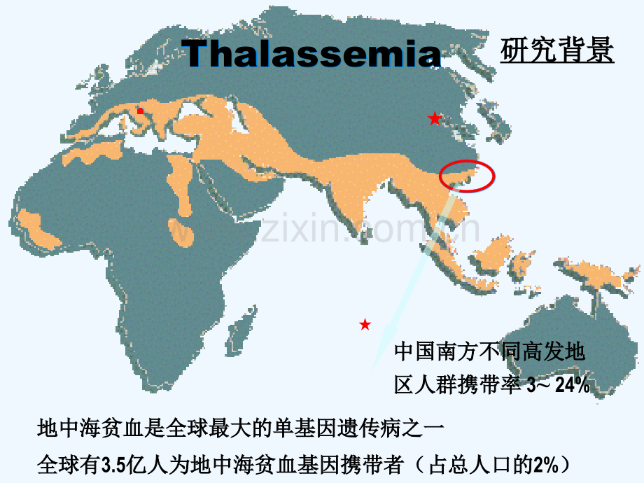 地中海贫血.ppt_第2页