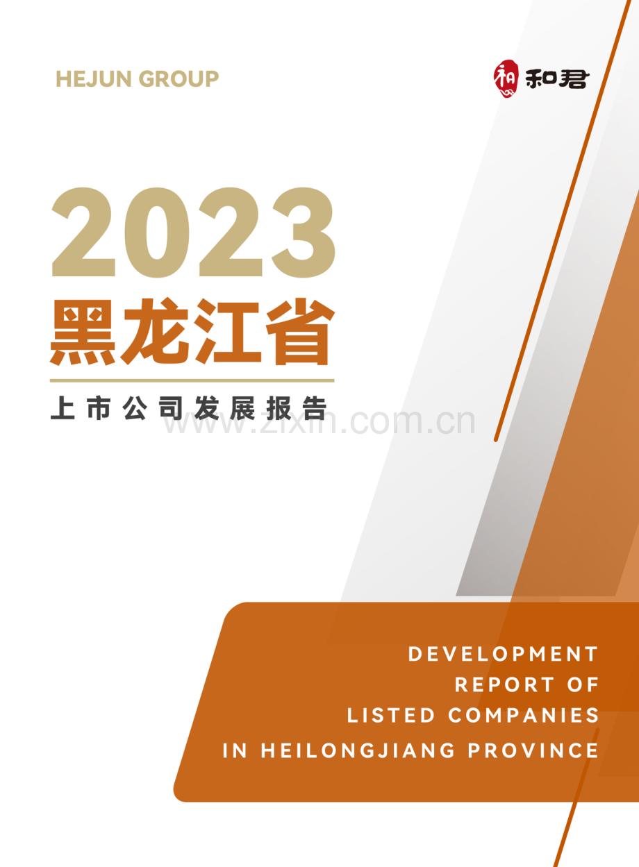 黑龙江省上市公司发展报告.pdf_第1页