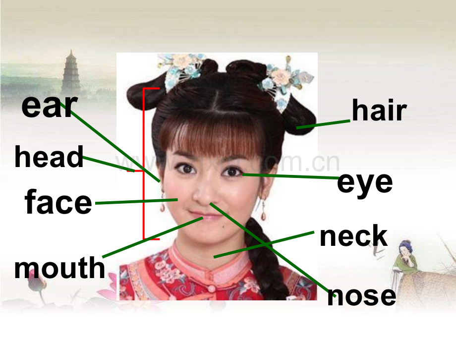 七年级英语仁爱版unit2--topic1-I-have-a-small-nose-SectionA公开课课件.ppt_第3页