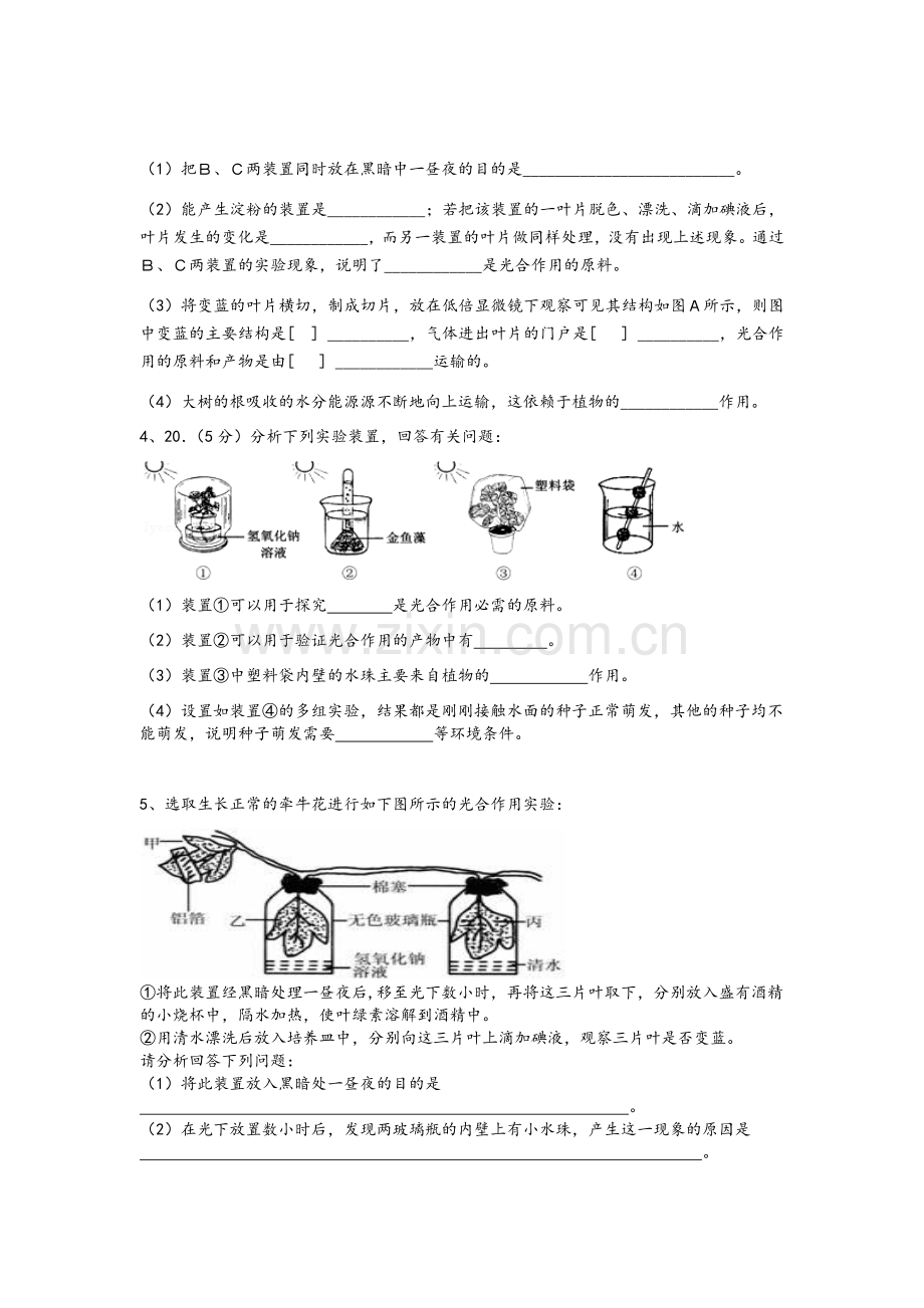 鲁教版初一生物-光合作用和呼吸作用练习.doc_第2页