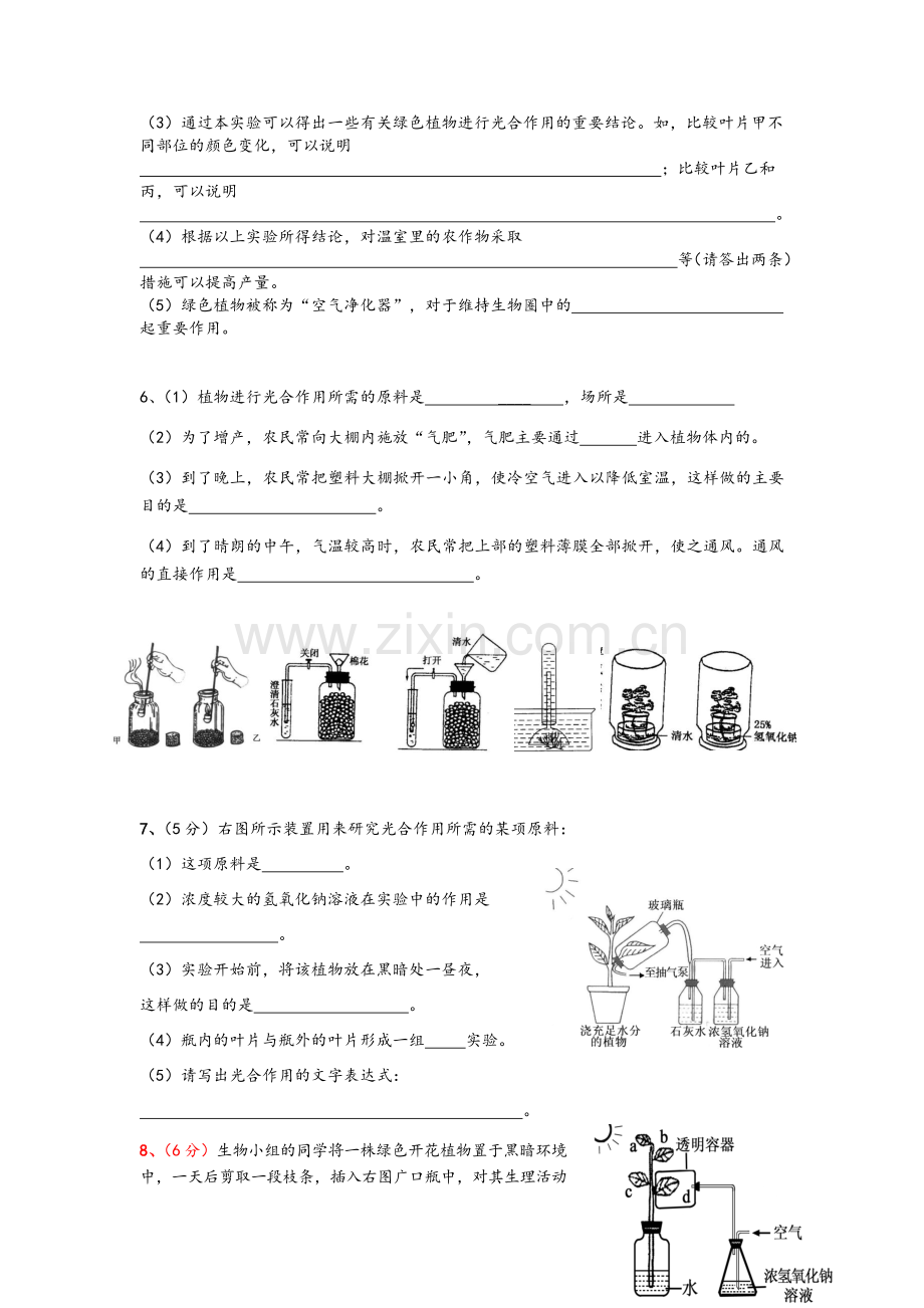 鲁教版初一生物-光合作用和呼吸作用练习.doc_第3页