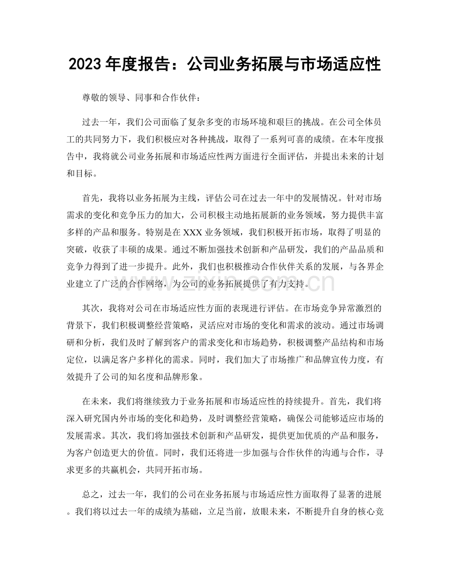 2023年度报告：公司业务拓展与市场适应性.docx_第1页