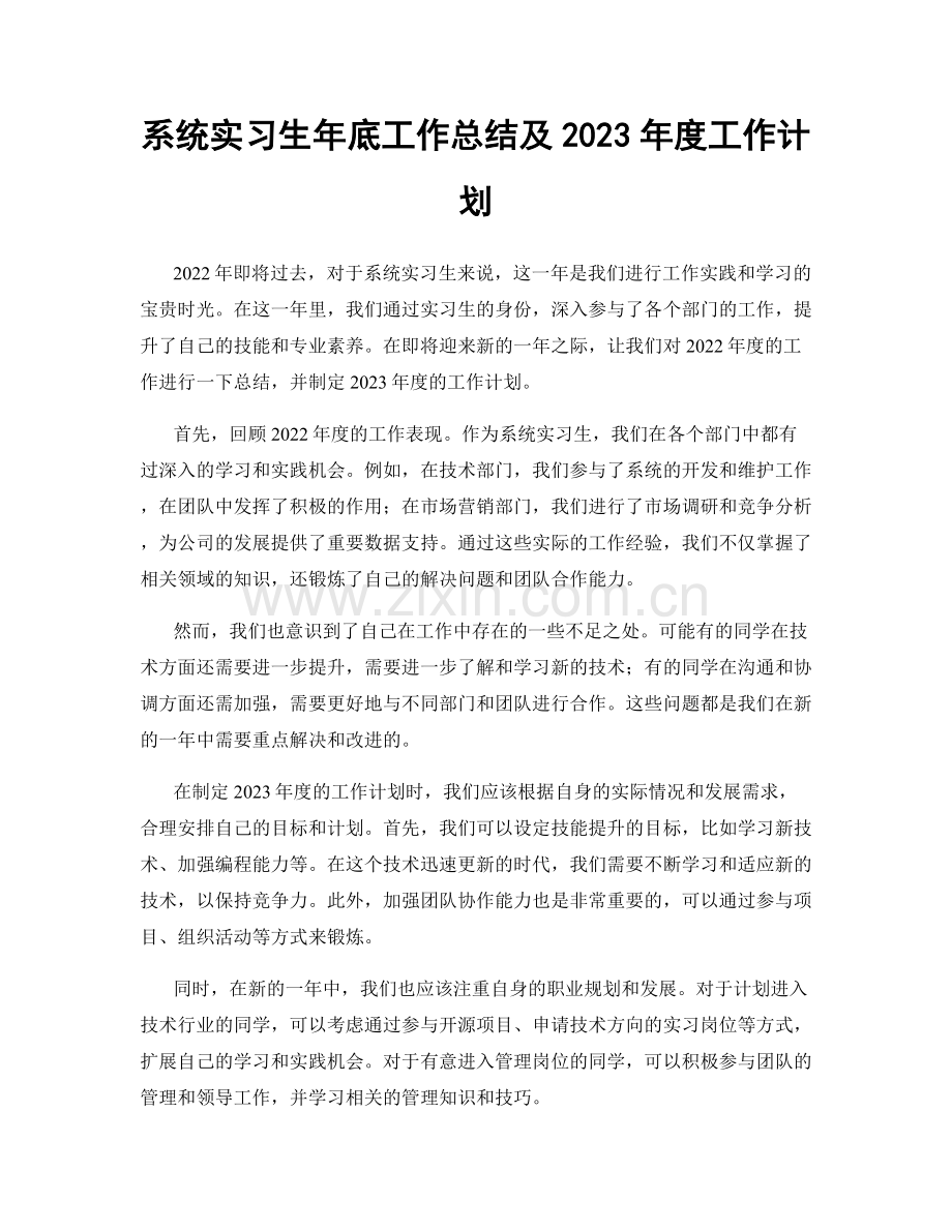 系统实习生年底工作总结及2023年度工作计划.docx_第1页