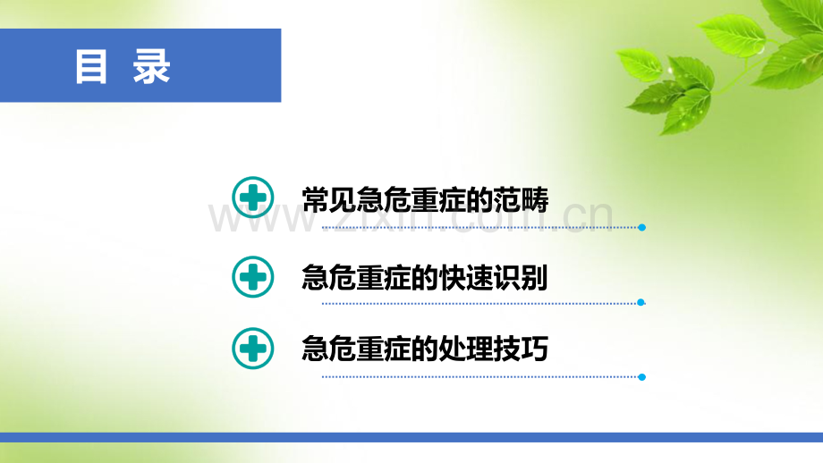 常见急危重症的快速识别.ppt_第2页