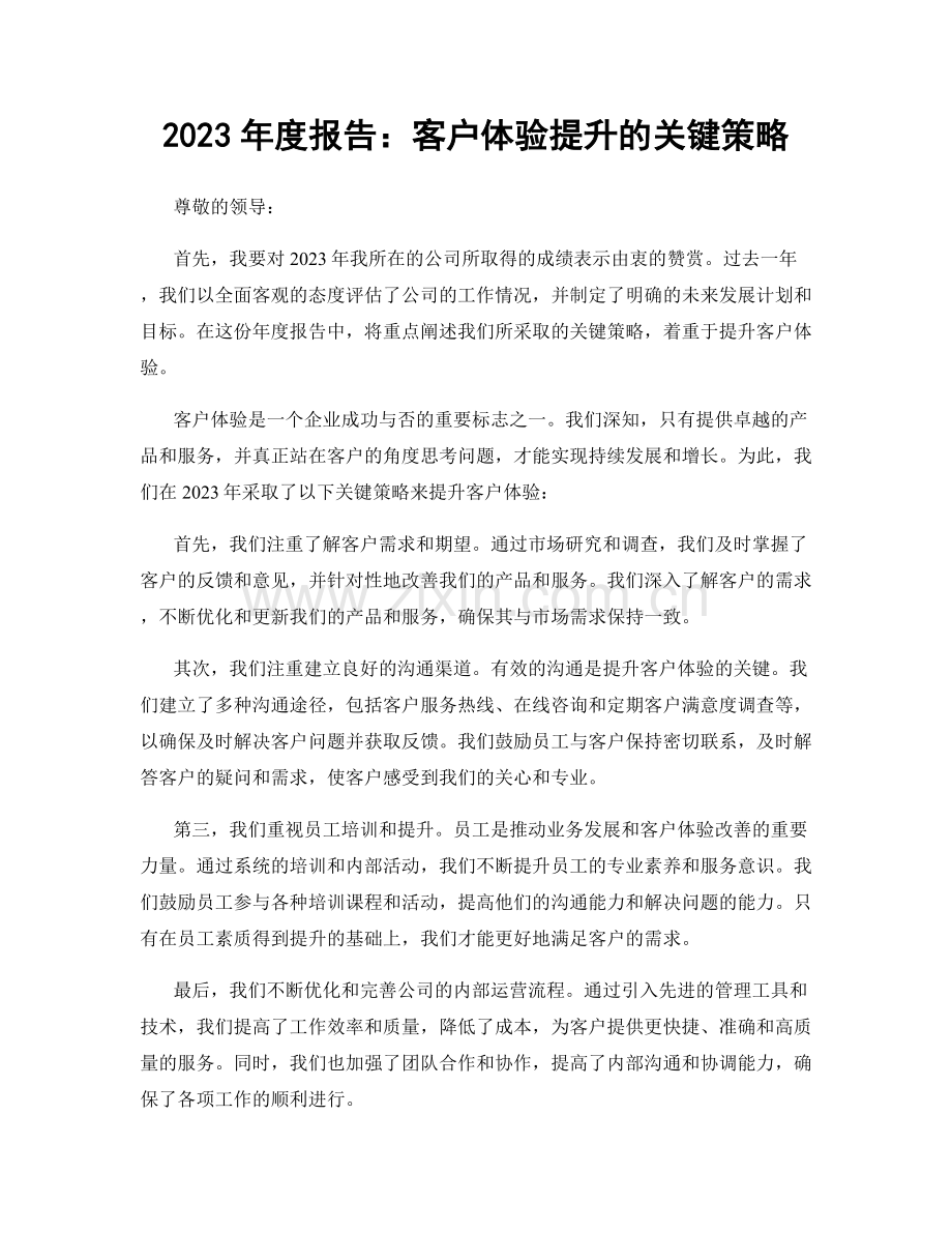 2023年度报告：客户体验提升的关键策略.docx_第1页