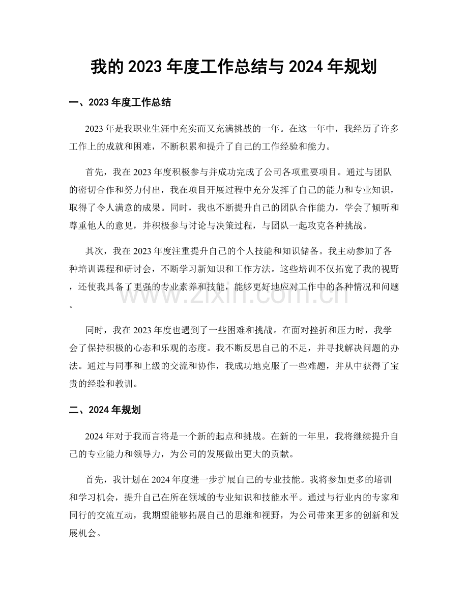 我的2023年度工作总结与2024年规划.docx_第1页