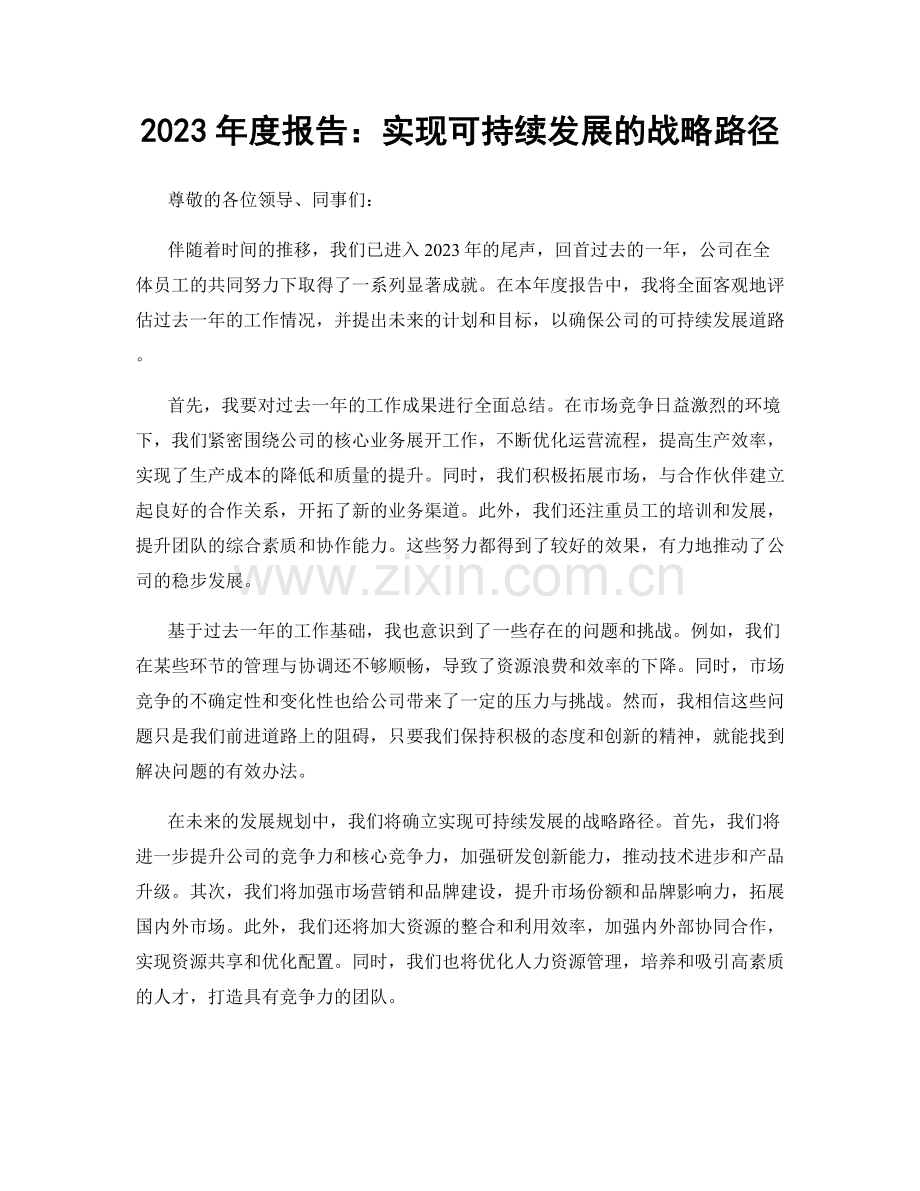 2023年度报告：实现可持续发展的战略路径.docx_第1页