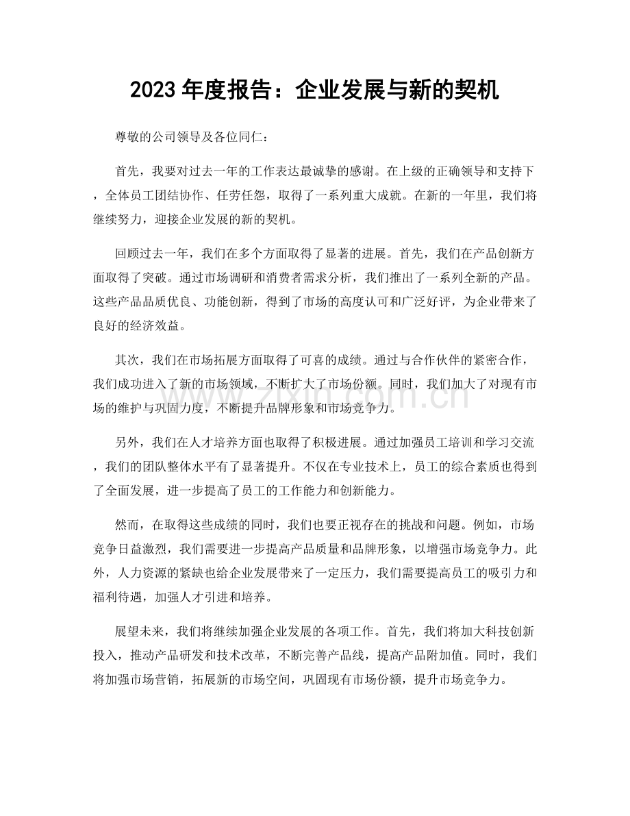 2023年度报告：企业发展与新的契机.docx_第1页