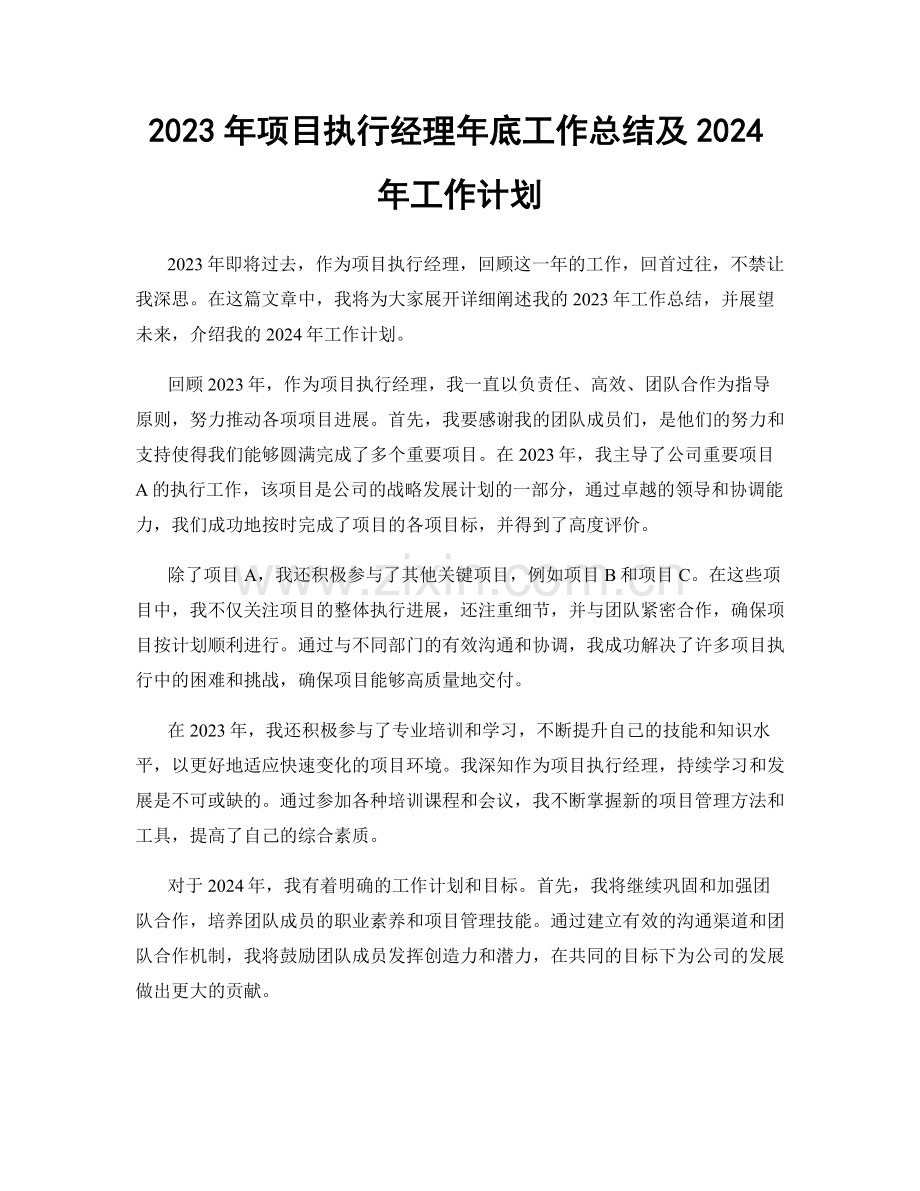 2023年项目执行经理年底工作总结及2024年工作计划.docx_第1页