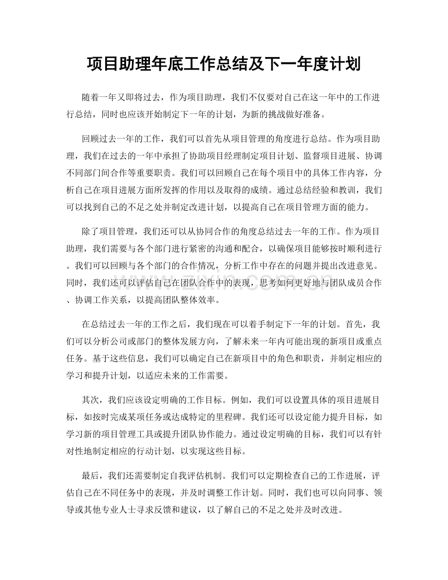 项目助理年底工作总结及下一年度计划.docx_第1页