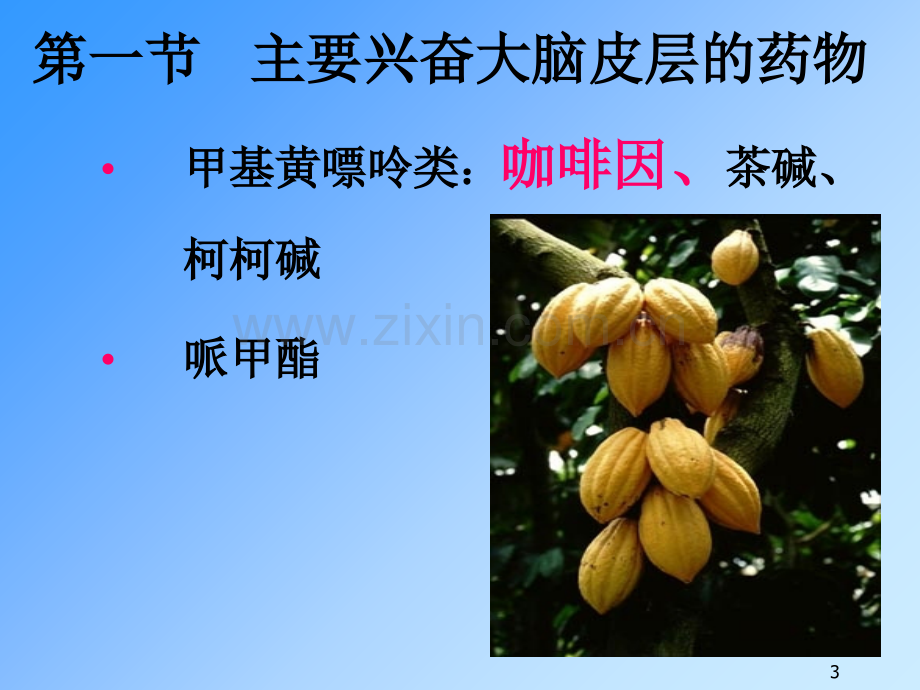 中枢兴奋药.ppt_第3页