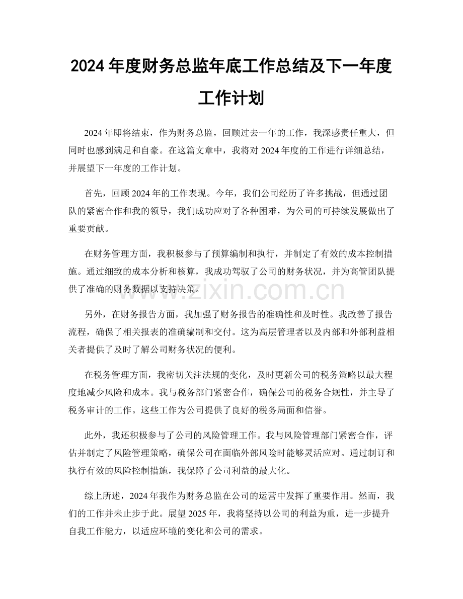 2024年度财务总监年底工作总结及下一年度工作计划.docx_第1页