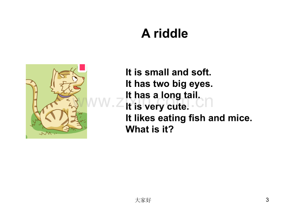 上海牛津英语四年级第二学期4B-M2-U2-Cute-animals.ppt_第3页