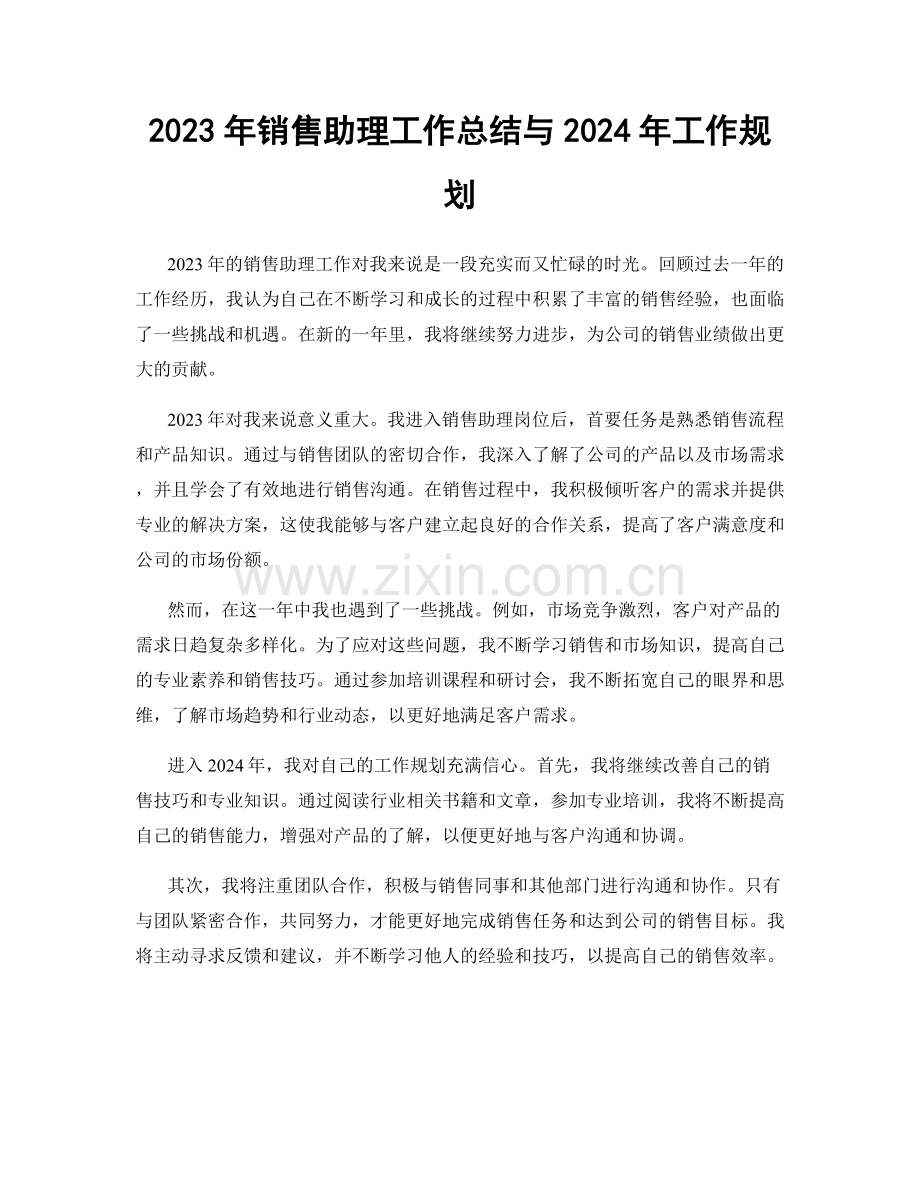 2023年销售助理工作总结与2024年工作规划.docx_第1页