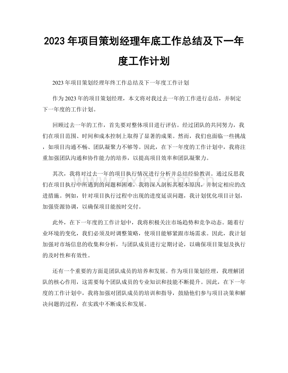 2023年项目策划经理年底工作总结及下一年度工作计划.docx_第1页