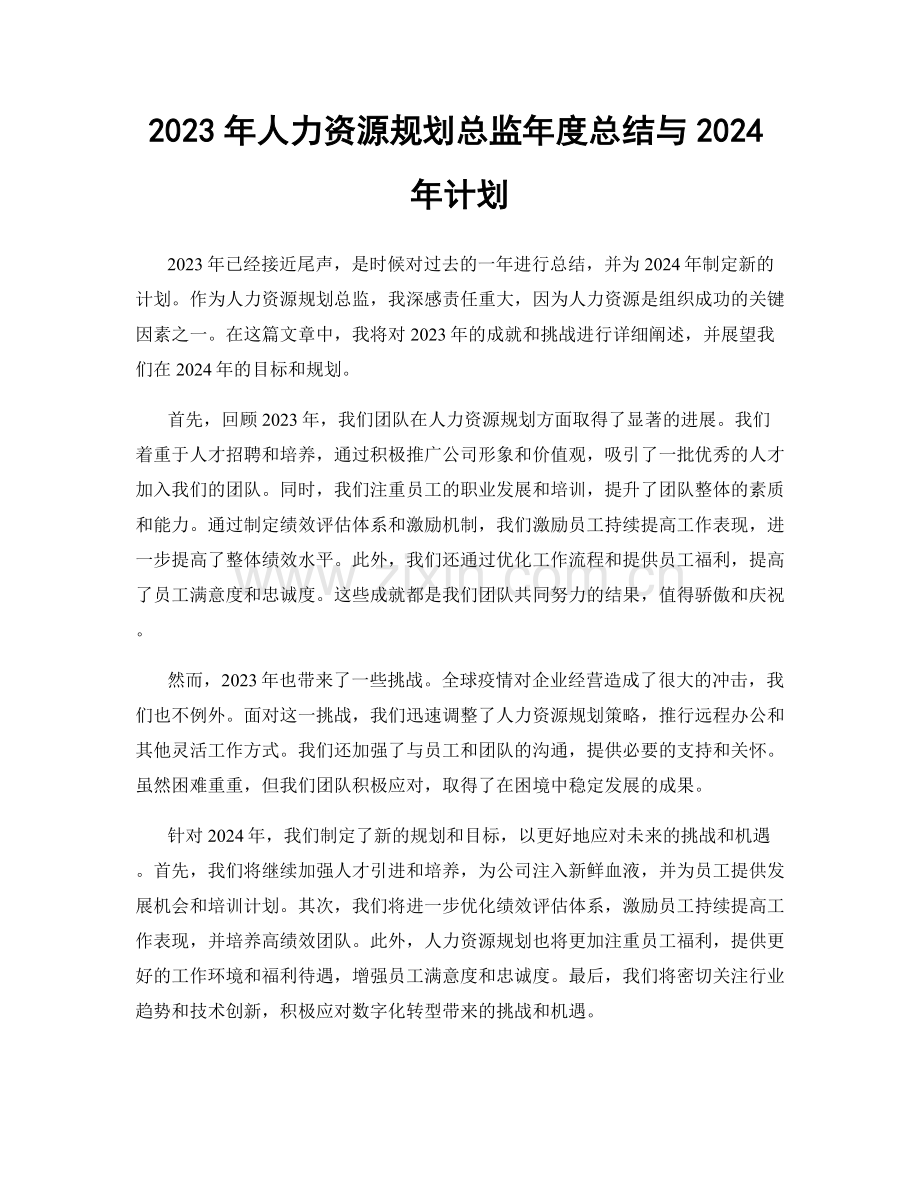 2023年人力资源规划总监年度总结与2024年计划.docx_第1页