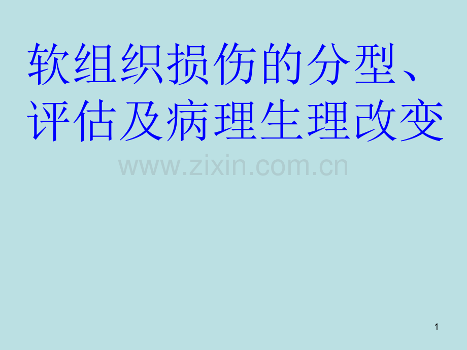 软组织损伤的分型、评估及病理生理改变-.ppt_第1页