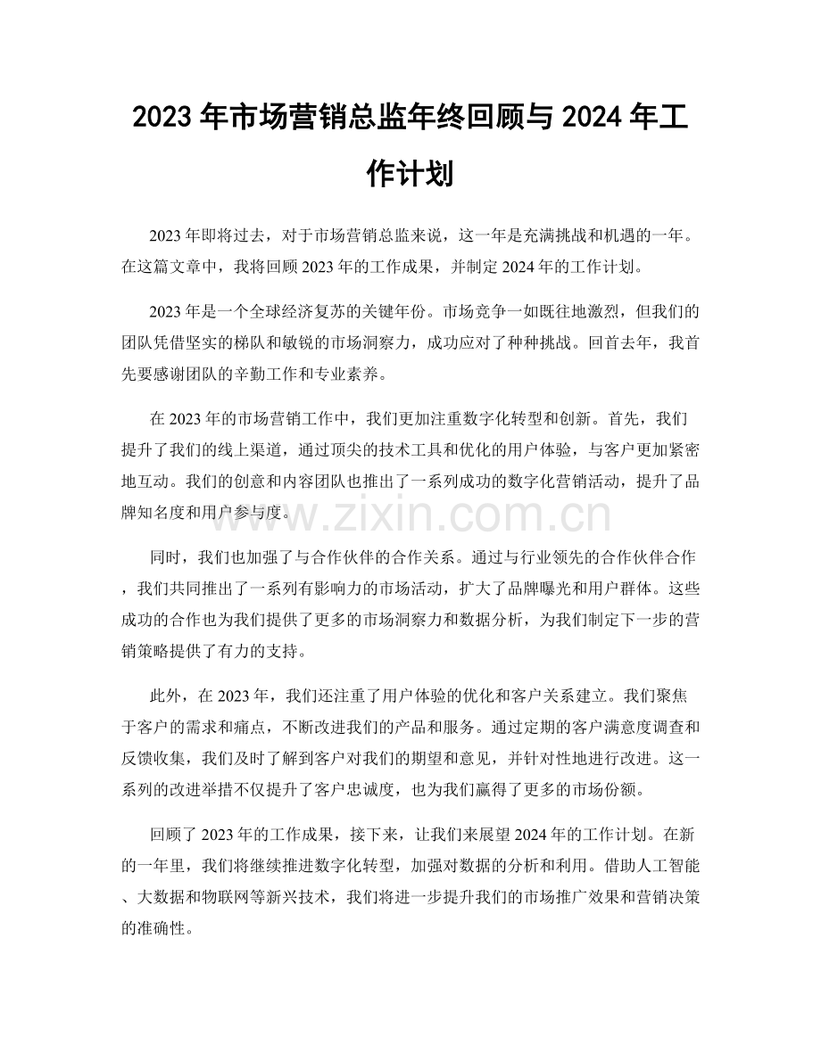 2023年市场营销总监年终回顾与2024年工作计划.docx_第1页