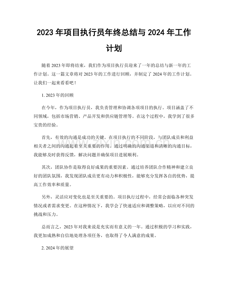 2023年项目执行员年终总结与2024年工作计划.docx_第1页