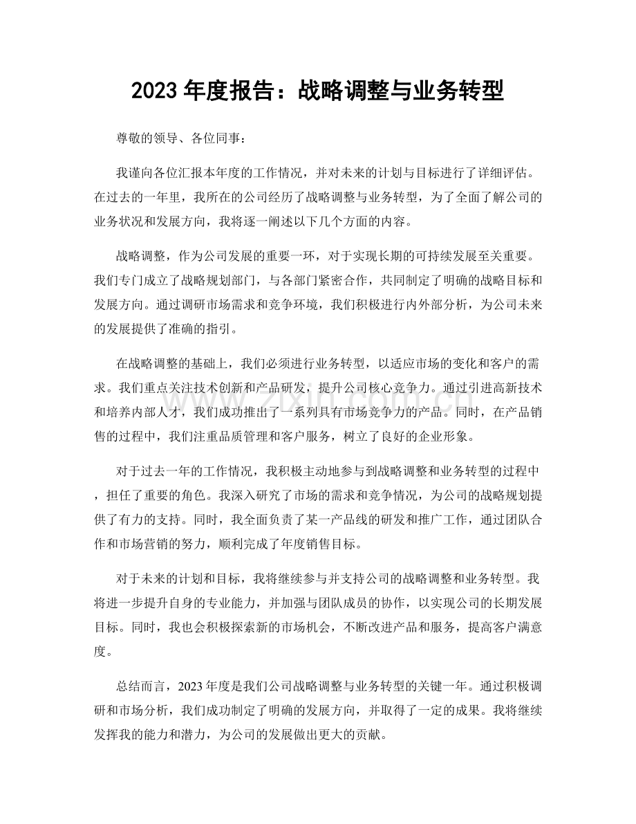 2023年度报告：战略调整与业务转型.docx_第1页