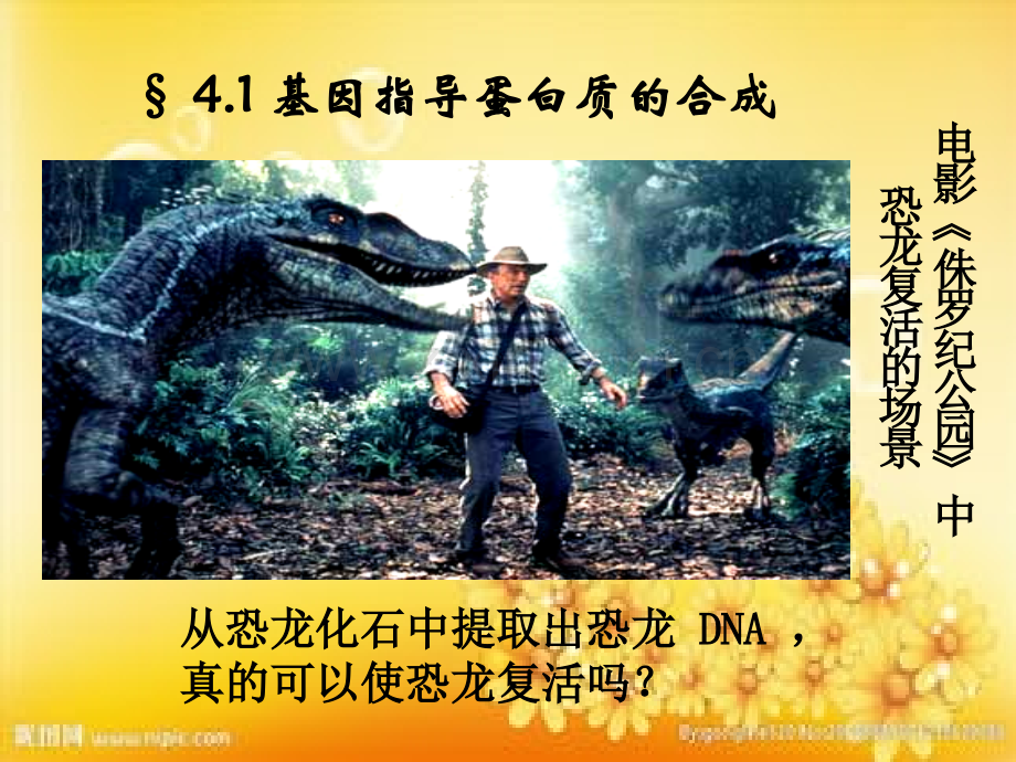 转录翻译动画.ppt_第2页