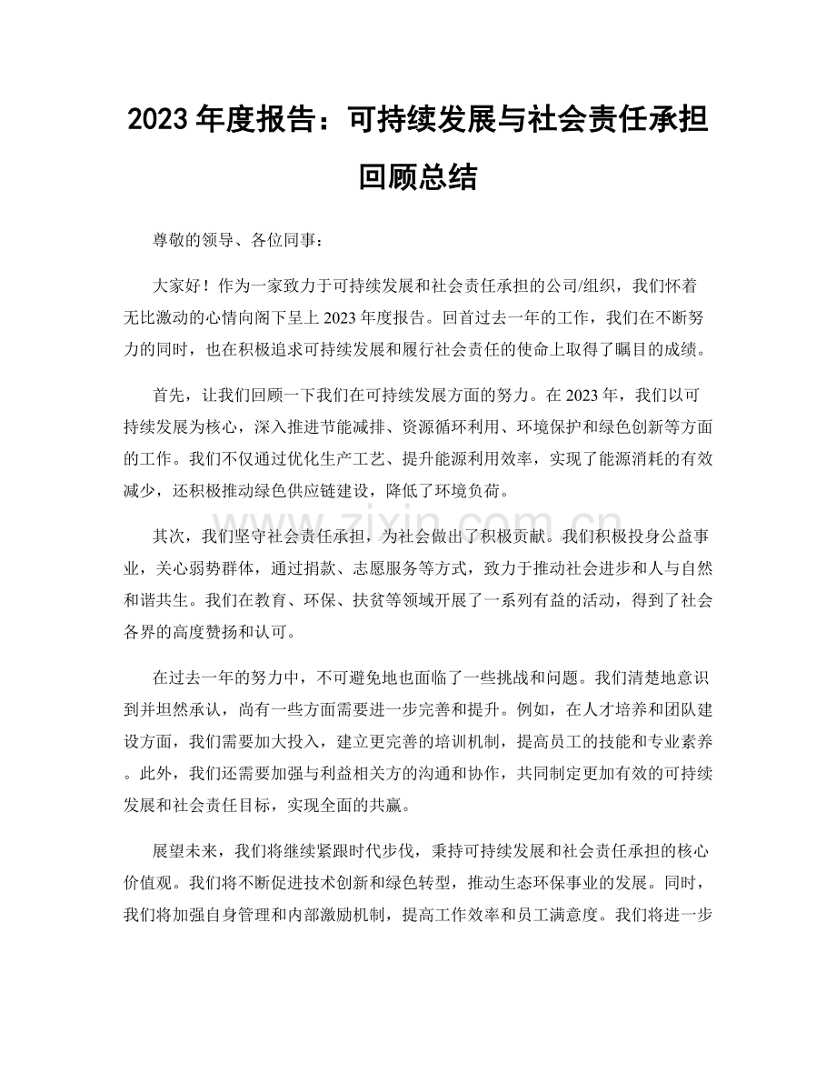 2023年度报告：可持续发展与社会责任承担回顾总结.docx_第1页