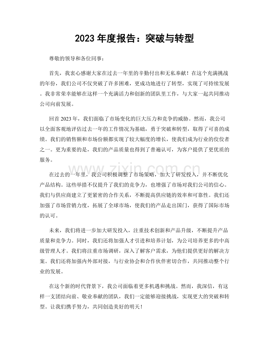 2023年度报告：突破与转型.docx_第1页