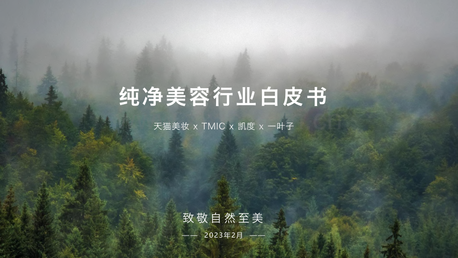 纯净美容行业白皮书-天猫美妆, TMIC, 凯度, 一叶子.pdf_第1页