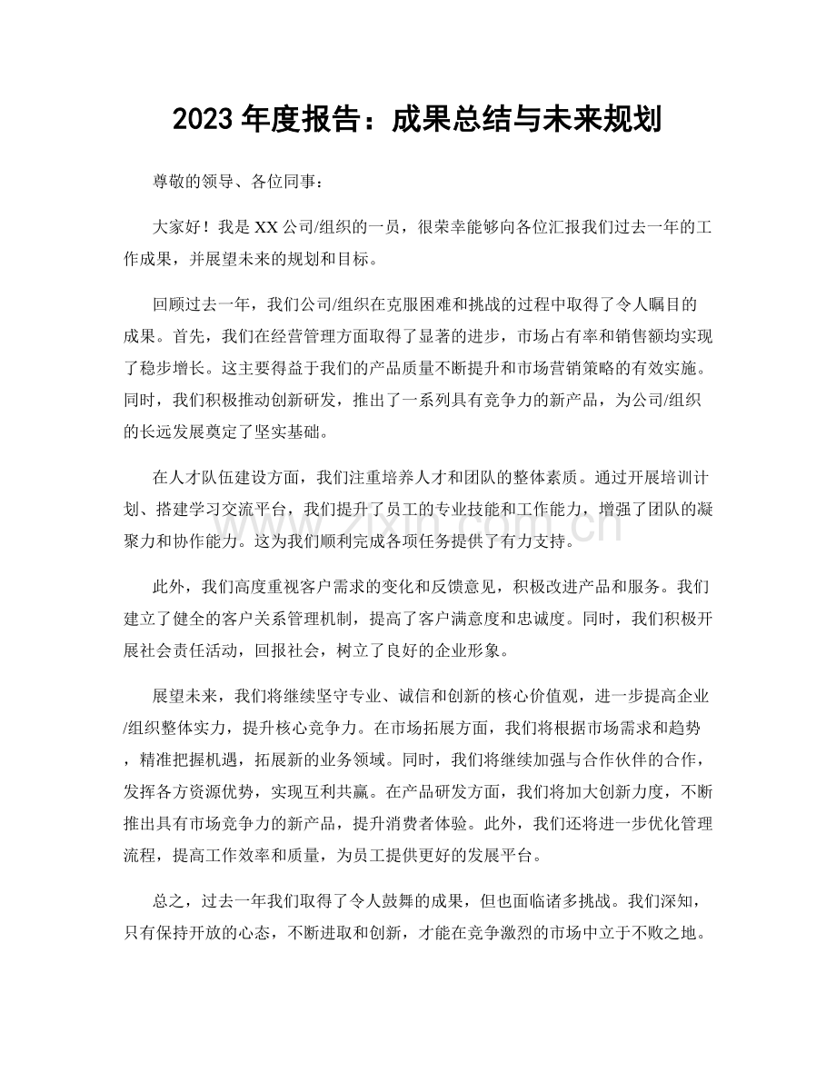 2023年度报告：成果总结与未来规划.docx_第1页