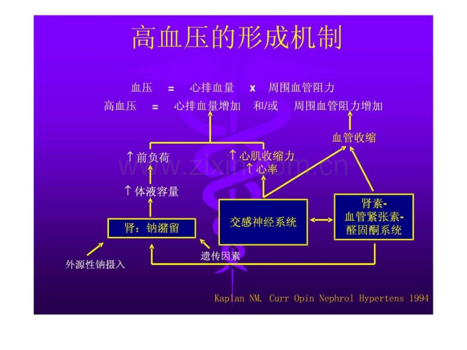 高血压社区管理.pptx_第3页