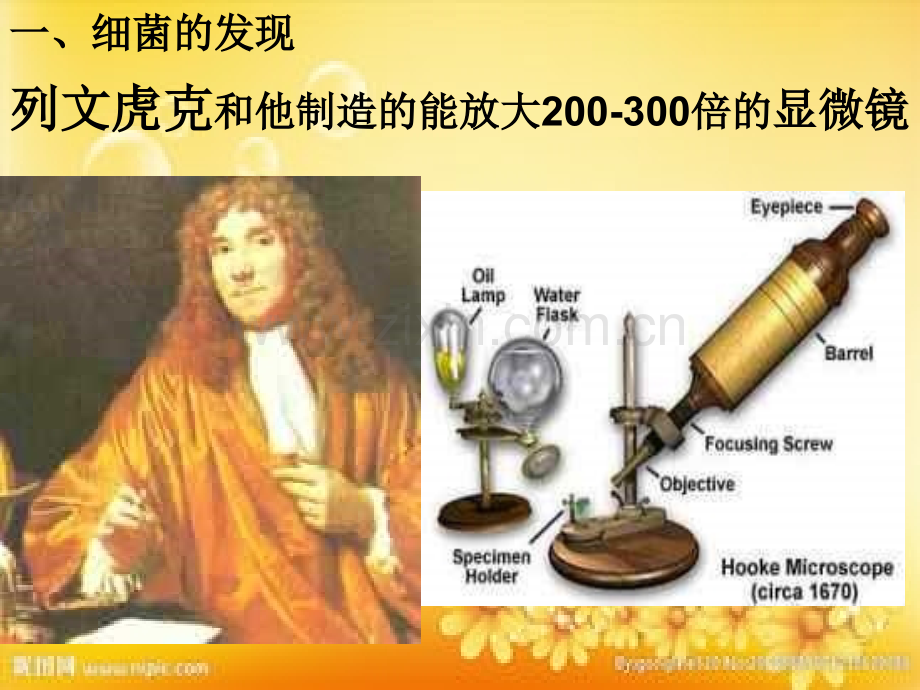 人教版八年级上册生物细菌-PPT.ppt_第2页