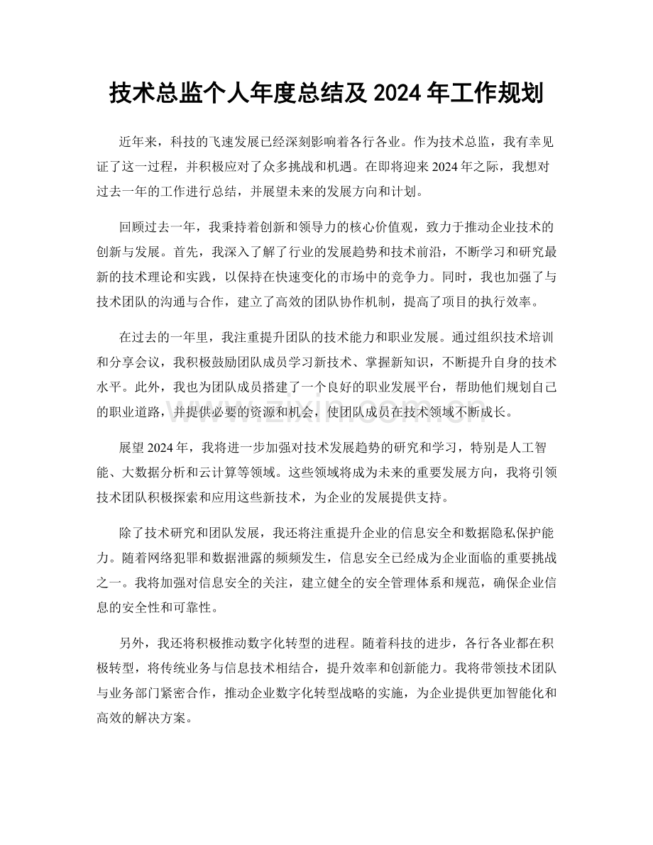 技术总监个人年度总结及2024年工作规划.docx_第1页