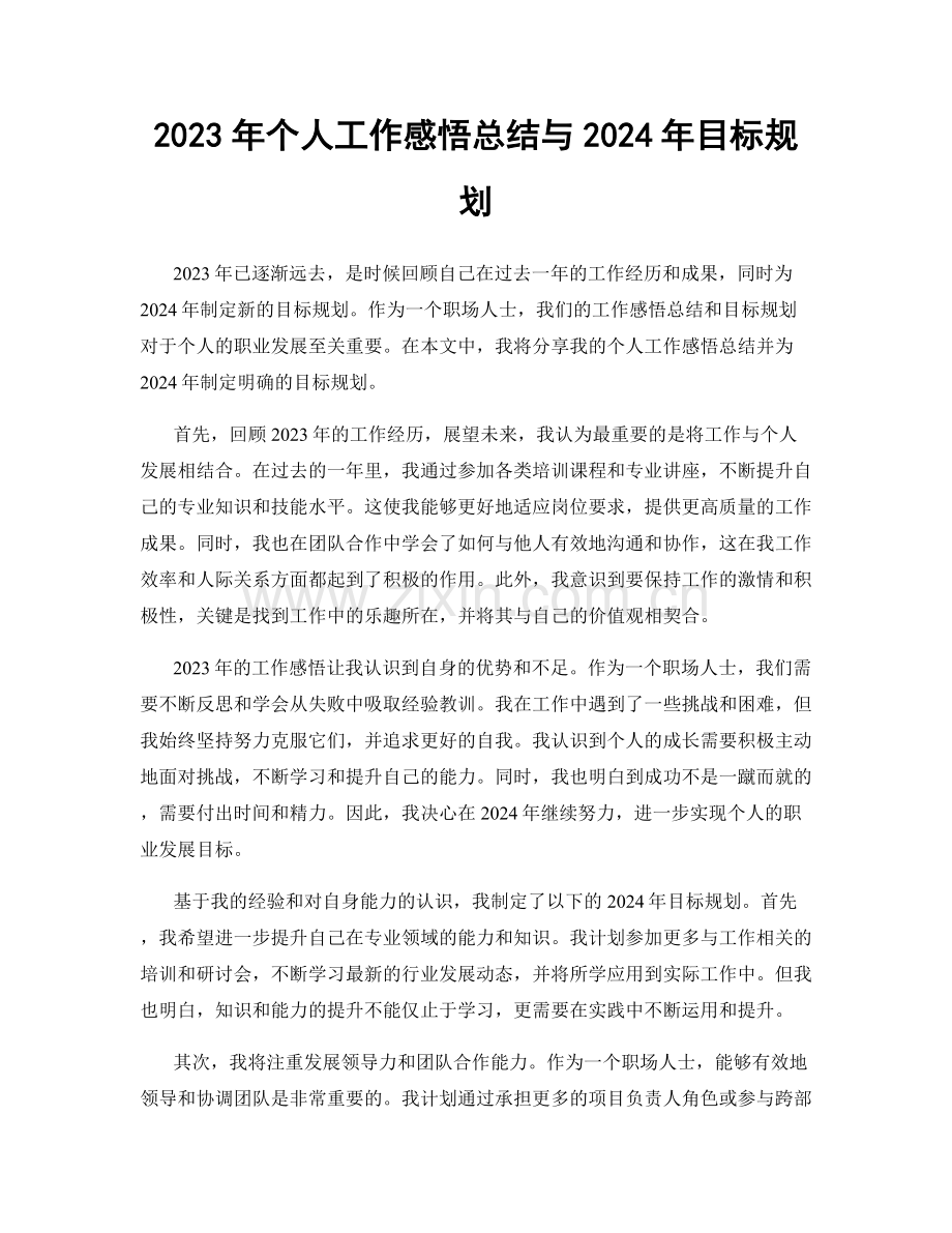 2023年个人工作感悟总结与2024年目标规划.docx_第1页