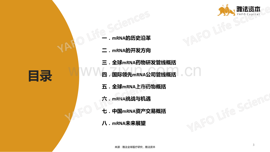 雅法资本：mRNA治疗领域的行业发展.pdf_第2页