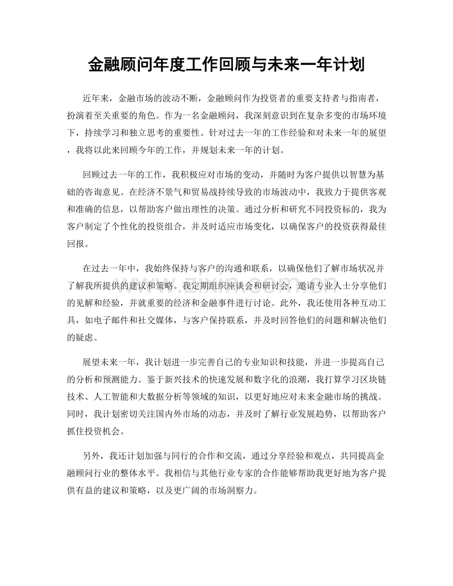 金融顾问年度工作回顾与未来一年计划.docx_第1页