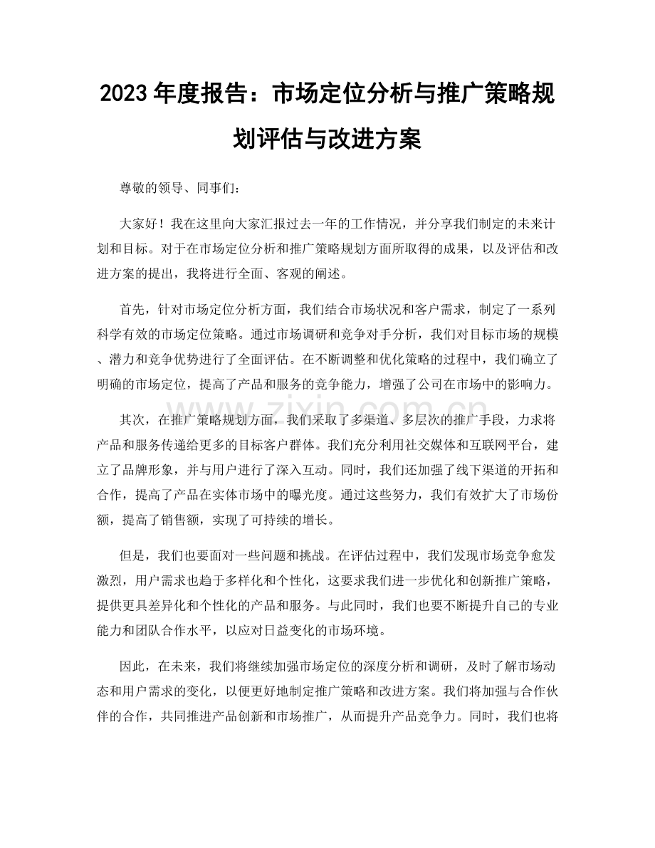 2023年度报告：市场定位分析与推广策略规划评估与改进方案.docx_第1页