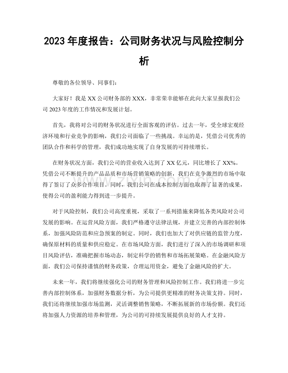 2023年度报告：公司财务状况与风险控制分析.docx_第1页