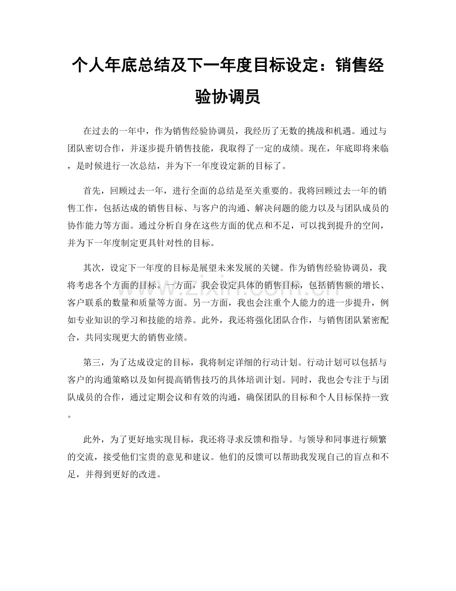 个人年底总结及下一年度目标设定：销售经验协调员.docx_第1页