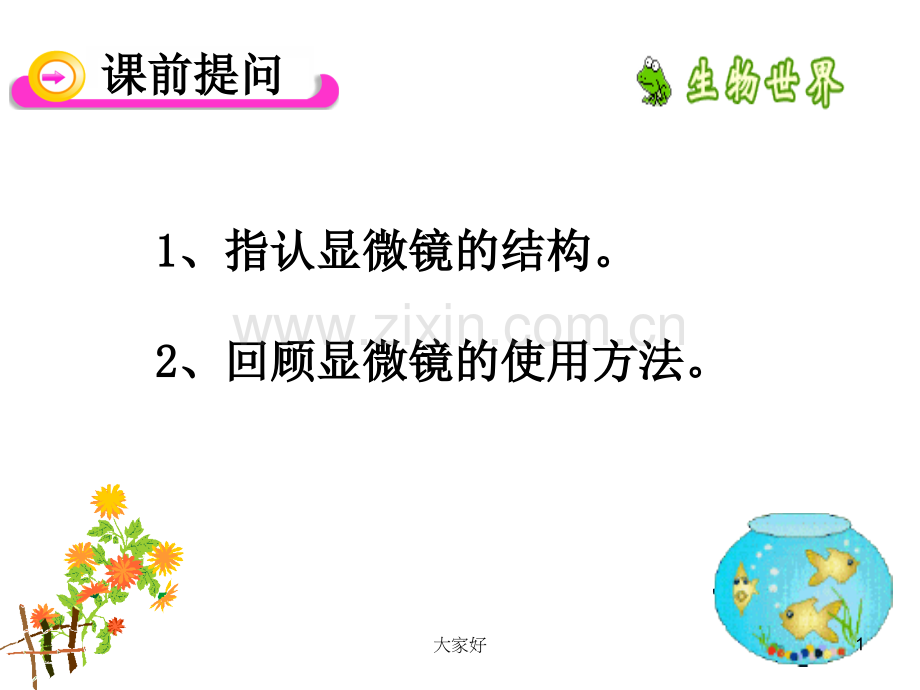 人教版七年级生物植物细胞.ppt_第1页