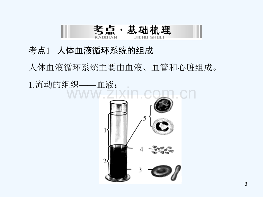 人体内的物质运输及废物的形成与排出-PPT课件.ppt_第3页