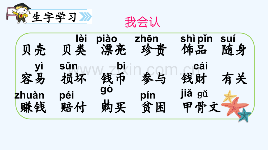 二年级下册贝的故事.pptx_第3页