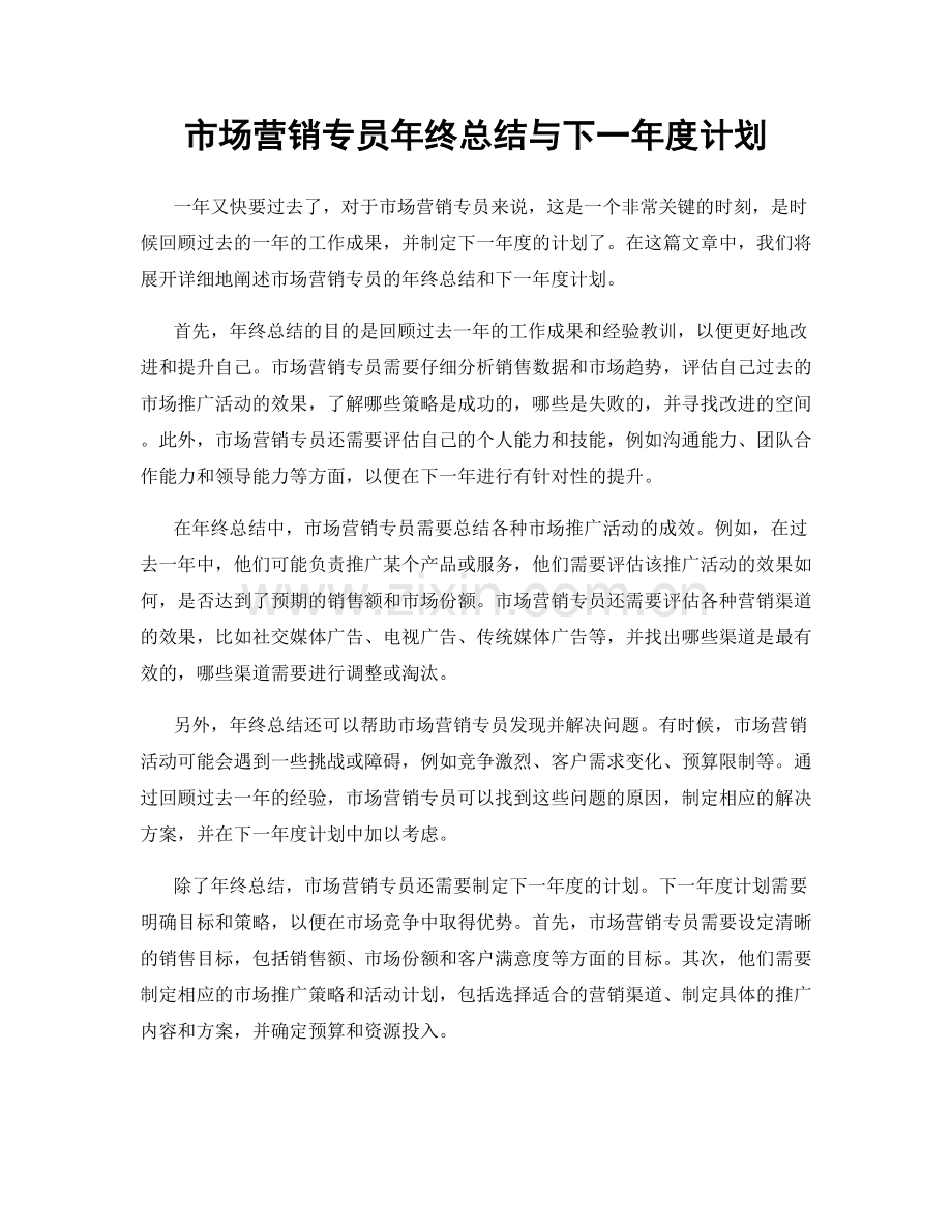 市场营销专员年终总结与下一年度计划.docx_第1页