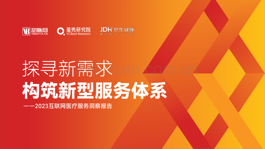 2023年互联网医疗服务洞察报告.pdf_第1页